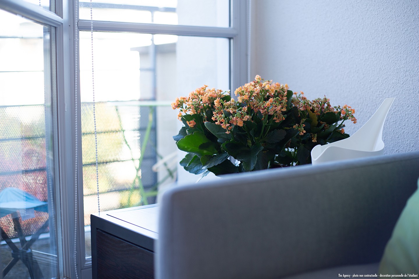 residence etudiante le vincii blois studio