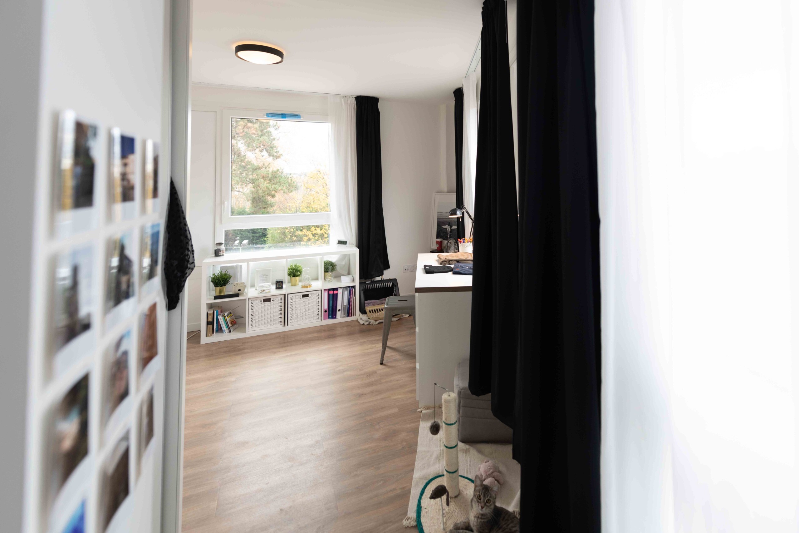 Logement étudiant Saint etienne