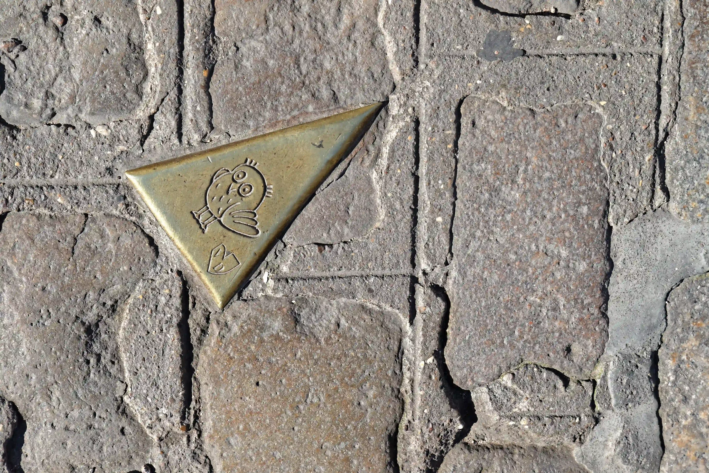 parcours chouette à dijon